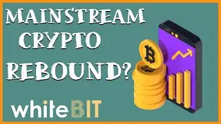 Is The Crypto Market Ready To Rebound? Focus on BTC, ETH and WhiteBIT Token