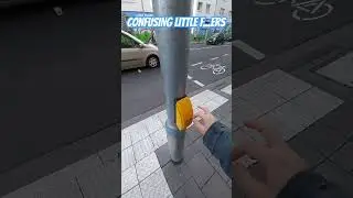 Pedestrians 