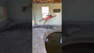Climbing Over A Giant Alligator!!! 😱🐊#shorts #alligator