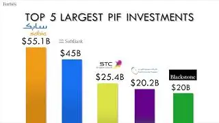 Top 5 Investments By The Saudi Public Investment Fund