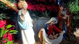 Solemn EF Midnight Mass of Christmas (St. Cecilia Choir begins at 11:30pm)