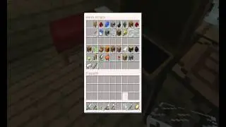 podr&oacute;żnicy z multiplayer #7 