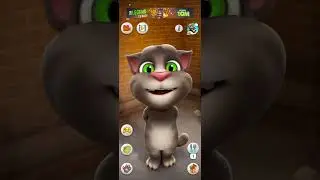 Mera naam hai cat