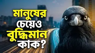 কাক মানুষের থেকেও বেশি বুদ্ধিমান? | Crow Memory, Intelligence & Islamic Story