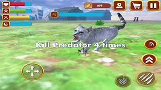 Grasshopper Insect Life Simulator 3D Insect Simulator