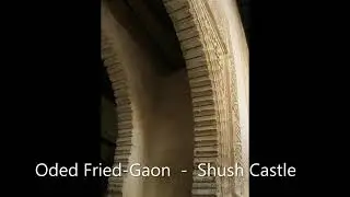 Oded Fried Gaon  -  Shush Castle