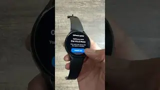 Samsung Galaxy Watch 4 🔥 One Ui 6 update! 😍      #shorts