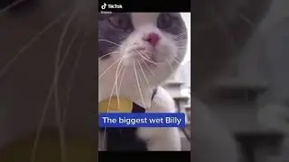 big billy