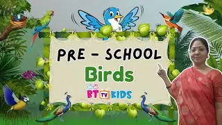 🦜 Learn Bird Names for Preschool Kids | Fun Learning with BTTV Kids 🐦🌟