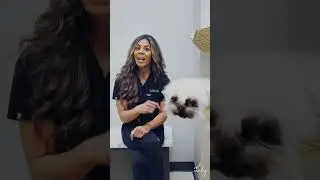 The Cat Heart Breakthrough You Didn&rsquo;t Know About!  | Dr. Jess Trice Explains Felicyn CA-1