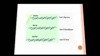 TERMINATOR SEED TECHNOLOGY | GURT I Science jagat