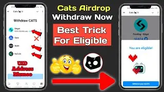 Cats Airdrop Claim Now | Cats Airport Withdraw Now | Bitget, Bybit, KuCoin, Uid and address and memo