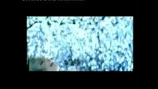 Amanda Imani- I'm free [OFFICIAL VIDEO]