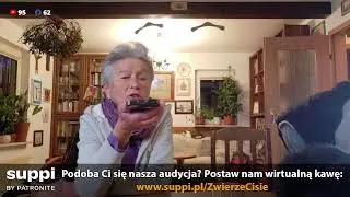 Pytania i odpowiedzi 31 stycznia 2026