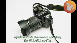 What Is Aperture? The Secret to Amazing Photos!