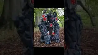 Overwatch Cosplay