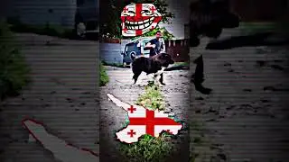 🇬🇪 🗿 🍷 #ukraine #phonk #war #country #sigma #georgia