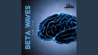 Beta Waves: 12 Hz Mental Stability