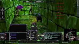 Everquest: Project 1999 Blue - Sunday Night Seb! Come Join! King Camp Fungi Tunic Drop!!!