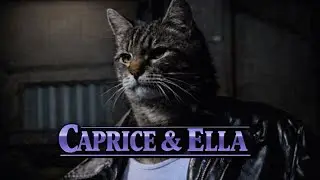 Caprice & Ella 1005 Open | Wiseguy-style