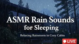 ⛈️ LIVE Heavy Rain Sounds with Distant Thunder &ndash; No Ads, Deep Sleep & Relaxation