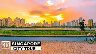 Singapore City Cycling Tour | Kallang Park Connector | Singapore Stadium Tour