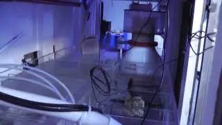 300 Gal Tank Tour - Initial Setup