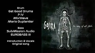 Gojira - Vacuity - Guitar Backing Track with vocals