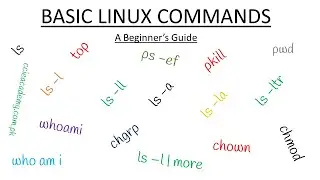 Redhat Enterprise Linux 6 Basic Commands | Redhat | RHEL 6
