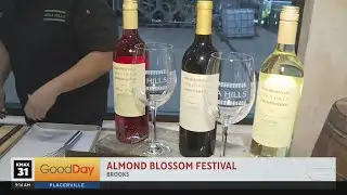 Almond Blossom Festival