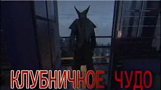 ЗАЯВИЛОСЬ ЧУДО ► fears to fathom ironbark lookout #2