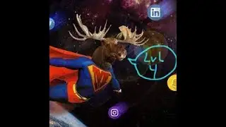 SuperMoose Lvl4 route