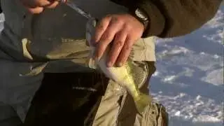 Fishing the Midwest with Bob Jensen 2013: Episode 3 - 