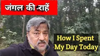 जंगल की राहें🐅🔥| How I Spent My Day in Nature 😎🌳 Beautiful But Dangerous Forest 