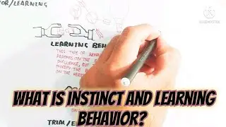 instinct behaviour vs learning behaviour @umerfarooqbiology7083