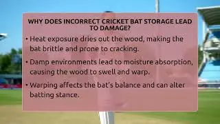 Why Does Incorrect Cricket Bat Storage Lead To Damage? - Go-To Cricket Guide
