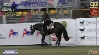 Derby 2022 - SYLVIA RZEPKA & WIMPY WALLA WHIZ score 223,5