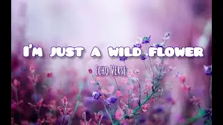 I'm just a wildflower | lyrics | Echo verse