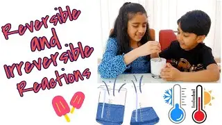 Reversible and Irreversible Reactions | Simple science experiments to explain the difference
