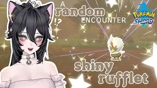 SHINY RUFFLET! | Finding a RANDOM Grass Encounter Shiny in Pok&eacute;mon Sword/Shield ₊˚⊹♡