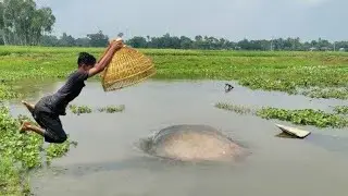 Village Beautiful Bill Fishing With Polo🖤 Really Amazing Polo Fishing Method