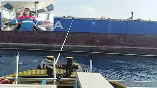 Delivery of ships one to one, using three tugs area STS 