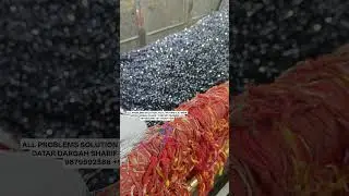 Mira Datar Dargah sharif ❤️new qawwali status video #whattsappstatus #shorts #reels #sounds