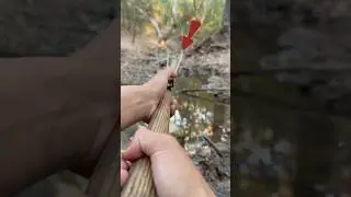 DIY Powerful slingshot: the best for hunting #outdoors #bushcraft #survival #camping