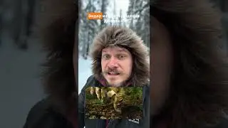 Будущее уже наступило?! #маркетинг #бизнес #ии #новости #digital