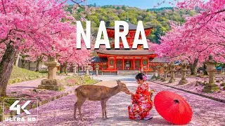 Spring in Nara, Japan 4K 🌸 Sakura in Bloom, Historic Shrines & Timeless Japan