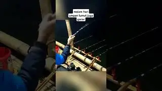 Lapak gacor mancing saguling malam hari #mancingsagulingterbaru