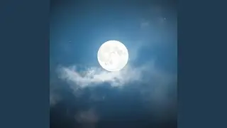 Peaceful Music for Stress Relief & Relaxation
