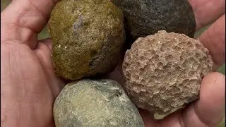11 World Agate Beauty Contest. Who do you pick?