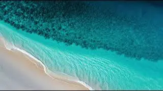 Morning Power Afrobeat EDM | Uplifting Sunrise Energy inspired by Avicii, Zedd & Calvin Harris 2025